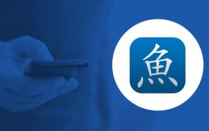 Pleco Chinese Dictionary