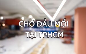 chợ đầu mối tphcm