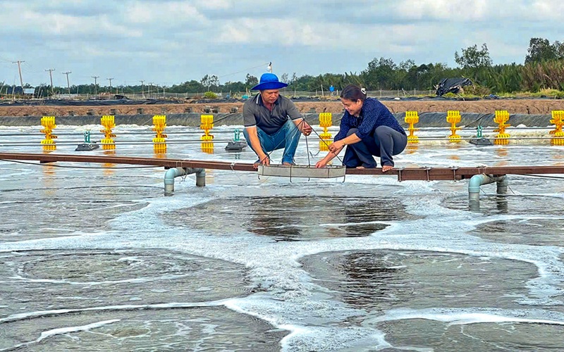 tại sao cần lắp đặt camera vuông tôm